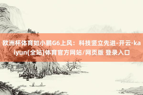 欧洲杯体育如小鹏G6上风：科技竖立先进-开云·kaiyun(全站)体育官方网站/网页版 登录入口