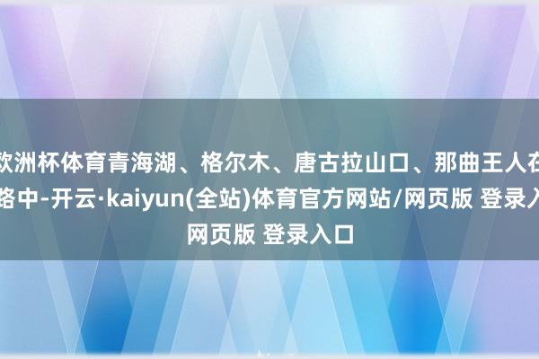 欧洲杯体育青海湖、格尔木、唐古拉山口、那曲王人在道路中-开云·kaiyun(全站)体育官方网站/网页版 登录入口