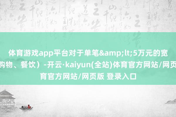 体育游戏app平台对于单笔&lt;5万元的宽绰耗尽（如购物、餐饮）-开云·kaiyun(全站)体育官方网站/网页版 登录入口