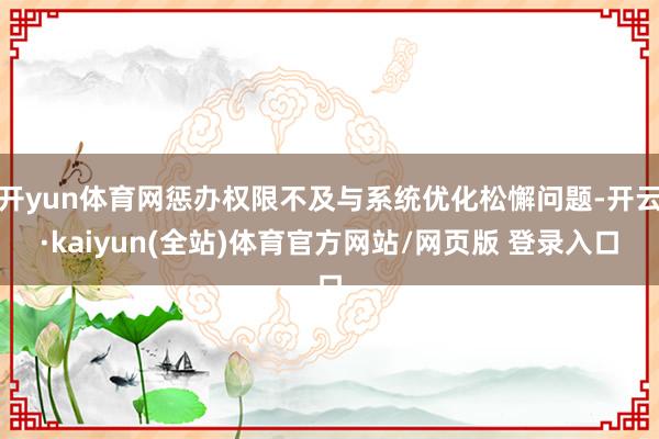 开yun体育网惩办权限不及与系统优化松懈问题-开云·kaiyun(全站)体育官方网站/网页版 登录入口