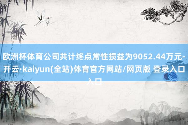 欧洲杯体育公司共计终点常性损益为9052.44万元-开云·kaiyun(全站)体育官方网站/网页版 登录入口